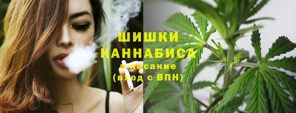 соль ск Лагань