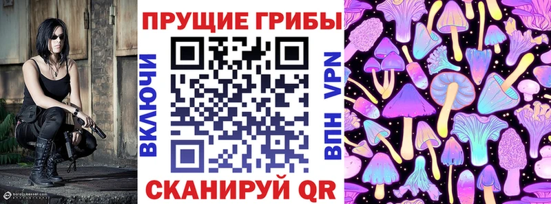 продажа наркотиков  Юрьев-Польский  Псилоцибиновые грибы прущие грибы 